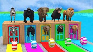 Long Slide Game With Elephant Gorilla Buffalo Hippopotamus Tiger 3d Animal Game Funny 3d Animals