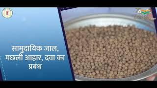 Cluster Based Fish Farming Bade Kapshi | Blue Revolution | Fisheries Subsidy Schemes & Fish Farming