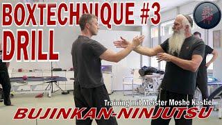 Bujinkan-Ninjutsu: Simple Drill for Boxing Technique 3: Umote Shuto - Check - Ura Shuto