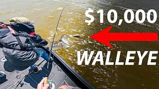 MONSTER Fish Worth $10,000!!! (11 Lake Challenge)