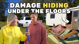 RV Renovations Begin & DEMOLITION Reveals Problems