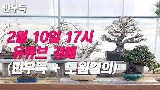 94. 유튜브경매(2월10일 17시) I 만무득+도원결의