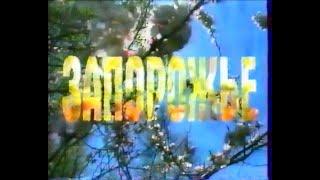 ТРК Алекс, 2005 рік. Нарізка новин м. Запоріжжя / Нарезка новостей г. Запорожье