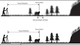 Depth of Field: An Easy Overview (2023)