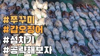 쭈꾸미 갑오징어낚시 가기전에 보세요 (섬치기 여밭 공략해보기)