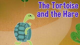 The Tortoise and the Hare Fairy Tale by Oxbridge Baby