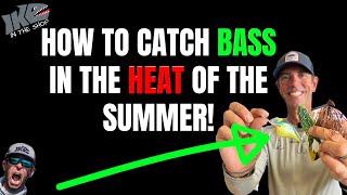 HOW TO Catch BASS in the HEAT of the Summer! (Top 3 Baits)