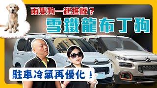 兩隻布丁狗同時進廠駐車冷氣再優化程式更新啦～快來成為進擊的布丁狗吧‍️！｜G.C.W Design 集思旺｜ft.超愛&小魚 #駐車冷氣 #雪鐵龍 #布丁狗 #車宿 #車泊