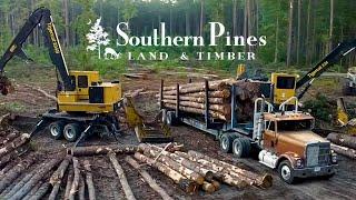 Southern Pines Land & Timber | Hodge Logging Company