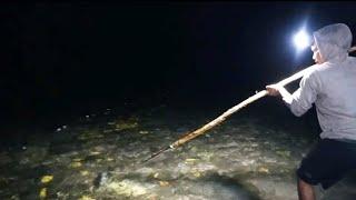 Malam hari Pulau Seram ini jadi Sarang ikan ‼️