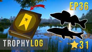 Russian Fishing 4 TROPHY LOG EP 36 - 2 New Spin Fishing Trophy! #rf4 #russianfishing4