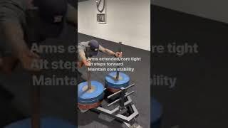 SLED PUSH