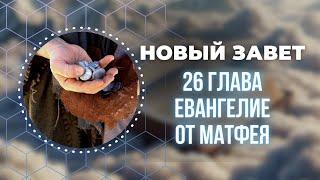 Библия. Евангелие от Матфея 26 глава.