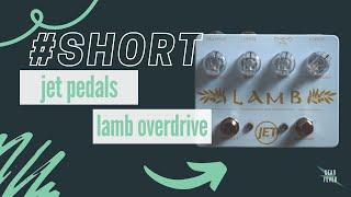 Jet Pedals Lamb Overdrive // Sonic Snack #short
