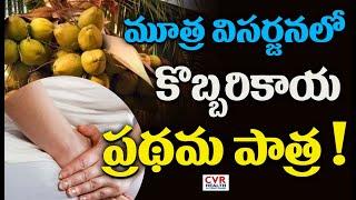 మూత్ర విసర్జనలో కొబ్బరికాయ ప్రథమ పాత్ర !|Coconut| CVR Health News