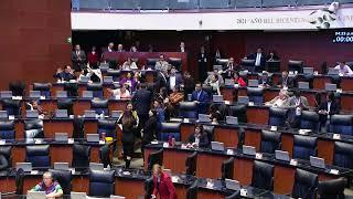 Sesión de la Cámara de Senadores, del 29 de octubre de 2024