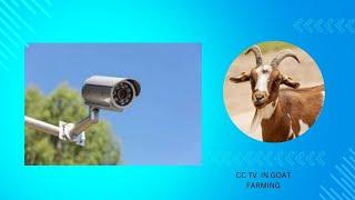 CC TV camera in goat farming | Camera security at farm  | Farm security systems |CC TV in goat farm|