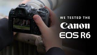 Testing the Canon R6 for Bird Photography | Autofocus Performance, Image Quality & IBIS