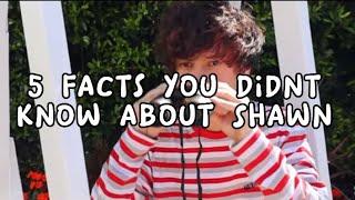 5 facts you didnt know about shawn from the stokes twins 