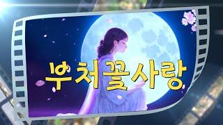 (가이드)부처꽃사랑(노래:음악공장)