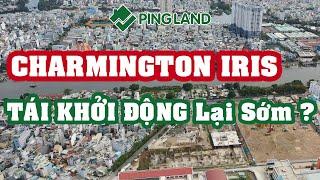  VIÊN NGỌC Căn Hộ Charmington Iris Quận 4 TTC Land TÁI KHỞI ĐỘNG Lại Sớm ? - Ping Land