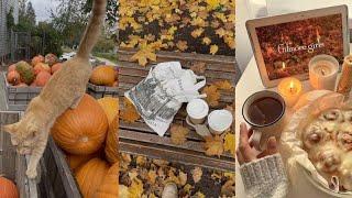 cozy autumn vibes | tiktok compilation 