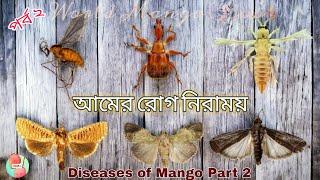 Diseases Of Mango And It's Cure | Part - 2 | আমের রোগ নিরাময় | পর্ব - ২