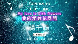 IMAGERY MUSIC｜My love is with flowers|我的愛與花同開｜楊千鶴