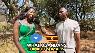 What Ugandans Think of Somalia & Somalis Is Mindblowing