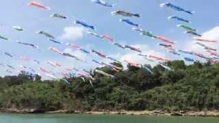 The Carp streamers are flying on Hijya river (OkinaWanderer)