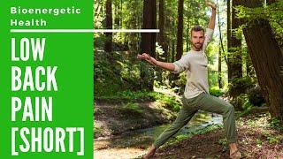 SHORT - Qigong for Low Back Pain - Traditional Chinese Medicine Physical Therapy (Physiotherapy)