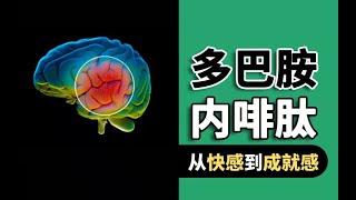 【一学科普】多巴胺和内啡肽，你选择快感还是成就感