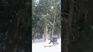 Naltar Valley Gilgit Baltistan Pakistan