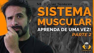 SISTEMA MUSCULAR PARTE 2 ENTENDER TODOS OS MÚSCULOS DO CORPO NÃO SERÁ MAIS UM PROBLEMA