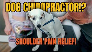 Her Energy Was Gone… Until This Shoulder Adjustment!