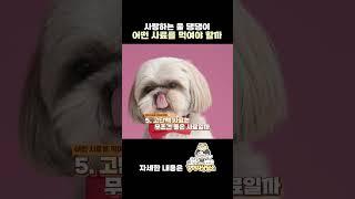 강아지에게 어떤 사료가 좋은 사료 일까?