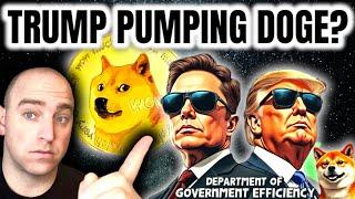 Dogecoin News Today!  Elon Musk and Now Trump?