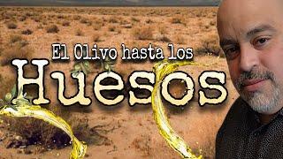  El Olivo 🫒 hasta los Huesos🫒 ( Parte 1)   Basado en Hechos Bíblicos   (Evang.Carlos Lopez)