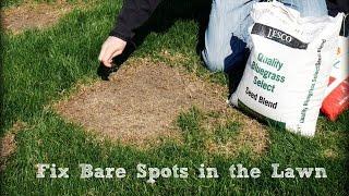 How To Seed And Repair Bare Spots in the Lawn