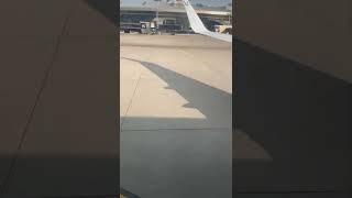 Дрессированный кот Вася и поездка в Москву на программу «Видели видео?»