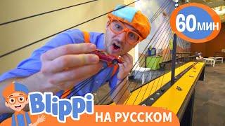 Игровая Площадка «Глейзер» | Изучай этот мир вместе с Блиппи | Blippi Russian