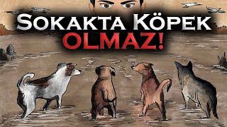 Sokakta Köpek Olmaz!