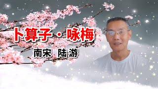 經典詩詞朗誦｜《詠梅》作者：陸游