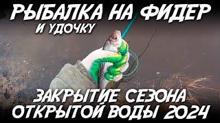 Рыбалка на фидер и удочку / Закрытие сезона открытой воды 2024