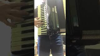 Italo-American Polytone Accordion