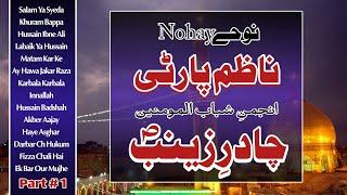 Nazim Party Nohay | Ghum e Chadar e Zainab | Anjuman e Shabab ul Momieen | Part # 1