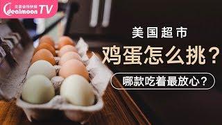 美国超市鸡蛋如何挑选？哪款吃着最放心？别被“Cage Free”忽悠了 | How To Buy The Best Eggs