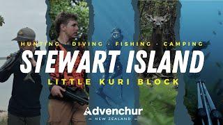 Stewart Island Hunting, Diving, fishing and camping adventure