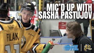 Mic'd Up with Sasha Pastujov of the Sarnia Sting!