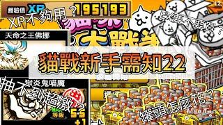 貓戰新手需知22【貓咪大戰爭】22個新手玩貓戰要知道的事情！！！